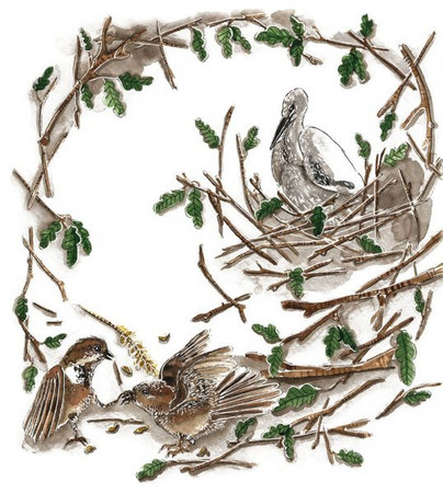 O boćku, który bał się wróbli Alicja Podgrodzka