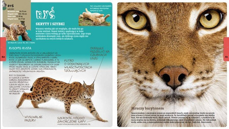 Andrzej Kruszewicz opowiada o zwierzętach