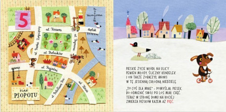 Liczypieski Ewa Kozyra-Pawlak wyd. Nasza Księgarnia