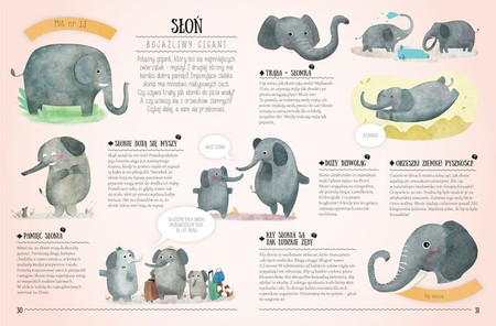 Niesamowita Natura. Mity i Stereotypy