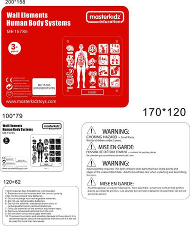 MASTERKIDZ Tablica Edukacyjna Układ Ciała Ludzkiego