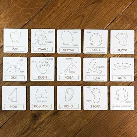 Drewniana układanka tematyczna - Części ciała
