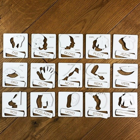 Drewniana układanka tematyczna - Części ciała