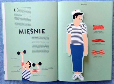 Anatomia. Obraz ludzkiego ciała na wyjątkowych ażurowych rycinach