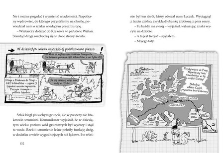 Ale historia... Mieszko, ty wikingu