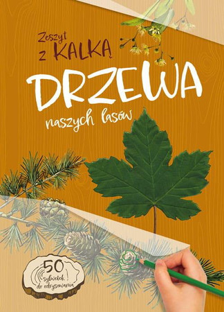 Drzewa naszych lasów (zeszyt z kalką)