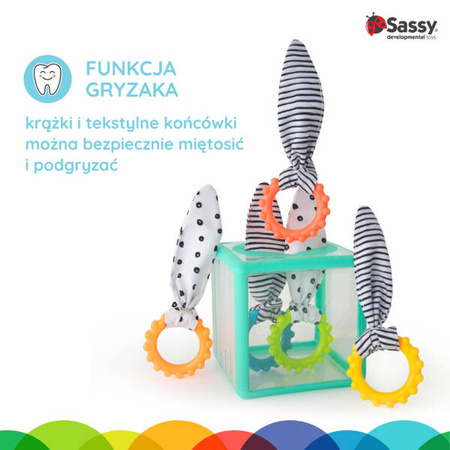 Manipulacyjna kostka sensoryczna Montessori – elastyczna kostka sorter z krążkami, Sassy