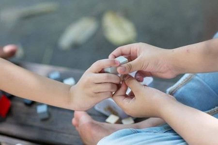 Klocki drewniane 24 el. Plan Toys