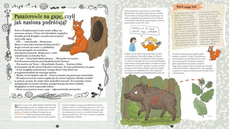 Ziarna, pestki, orzechy, czyli te niesamowite nasiona