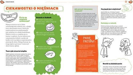 Człowiek jak to działa