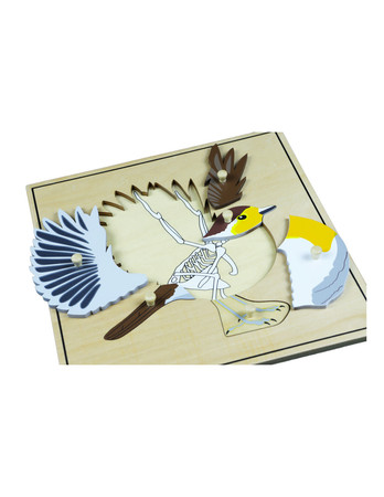 Moyo Montessori | Puzzle ze zwierzętami - Szkielet ptaka BIO0169_B015