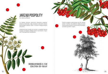 Ale drzewa! wyd. Wytwórnia