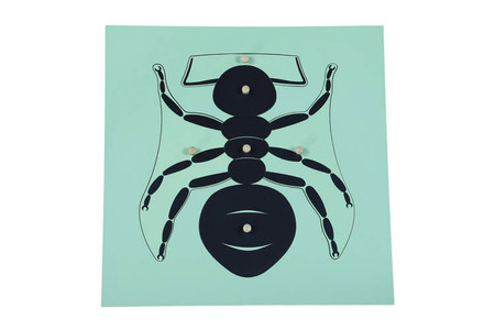 Moyo Montessori | Puzzle - mrówka BIO_B036