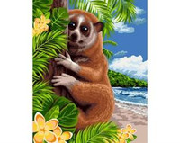 Malowanie po numerach 40x50 lemur Lori