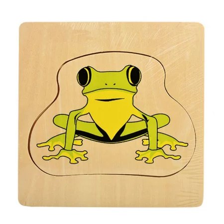 Cykl życia rozwoju żaby - puzzle warstwowe