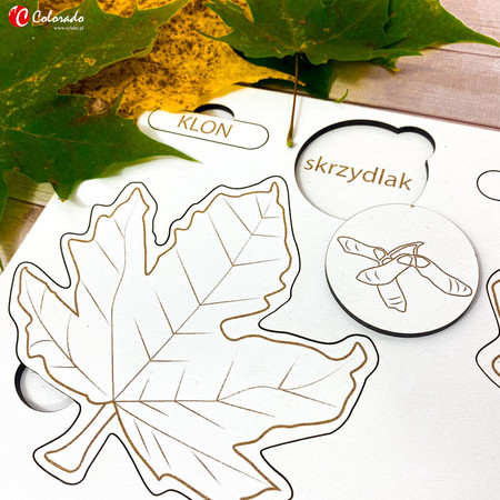 Drewniana układanka - Liście i owoce drzew