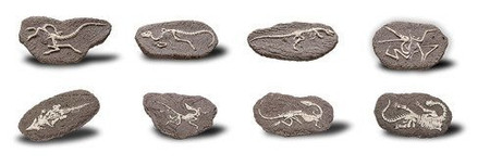 Bones&More, Duży szkielet dinozaura - wykopalisko na kamieniu