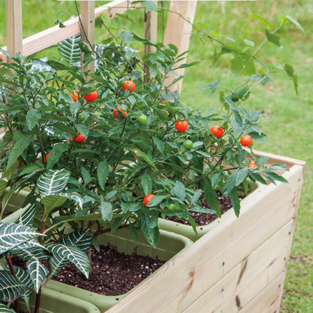 CLASSIC WORLD EDU Drewniany Kwietnik na Kółkach do Ogrodu + Tablica