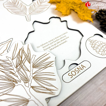 Drewniana układanka - Liście i owoce drzew