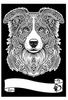 Kolorowanka Welwetowa A4 Border Collie