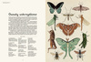 Animalium. Muzeum Zwierząt wyd. Dwie Siostry