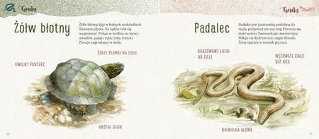 Elementarz naszej przyrody. Zwierzęta