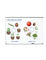 Learning Resources | Cykl życia rośliny - magnetyczny LERLER6045