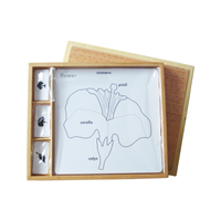 Zestaw działań do Puzzle botaniczne (ANJ)