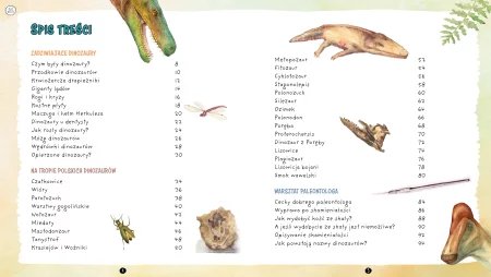 Gdy na Ziemi żyły dinozaury Tomasz Sulej