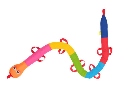 Wąż spacerowy gąsienica Tęczowy