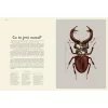 Insektarium. Muzeum Owadów wyd. Dwie Siostry