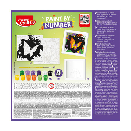 Creativ malowanie po numerach papuga/motyl