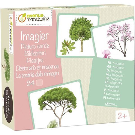 Karty z obrazkami Drzewa Flashcards Trees