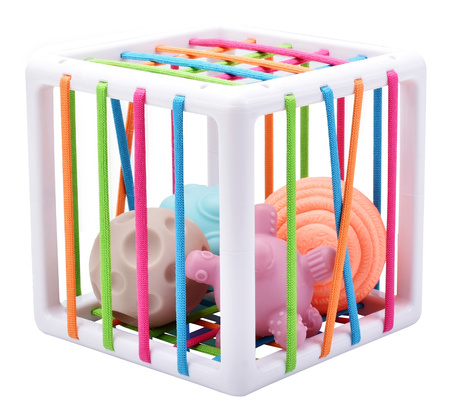 WOOPIE Elastyczna Kostka Sensoryczna Sorter dla Dzieci 5 el.