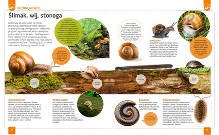 Młody obserwator przyrody. Encyklopedia