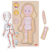 Drewniana układanka anatomia ciała dziewczynka Goki 57362