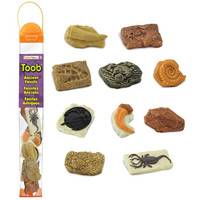 S684804 Skamieniałości. Zestaw Figurek w Tubie Safari Ltd.