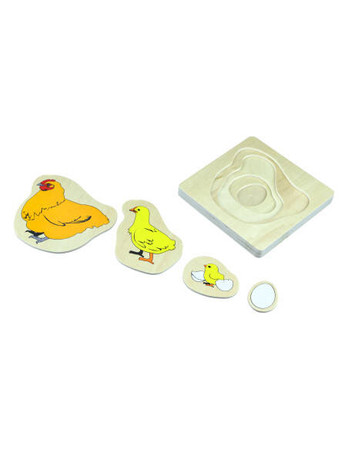 Moyo Montessori | Cykl życia kurczaka BIO_B043