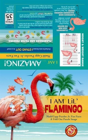 Puzzle 100-elementów FLAMING Madd Capp