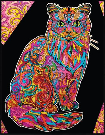 Kolorowanka Welwetowa 29,7x21 Kot Długowłosy