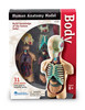 Learning Resources | Anatomiczny model ludzkiego ciała LERLER3336