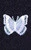 Motyl 3