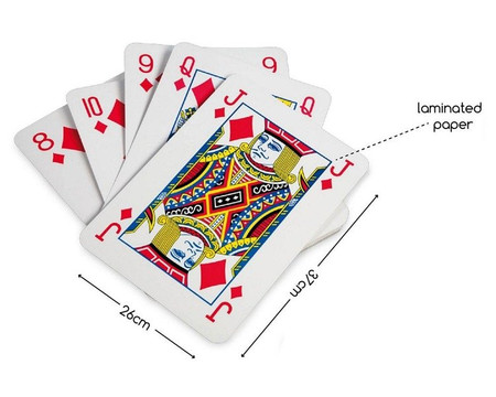 Karty do gry XL Buiten Speel