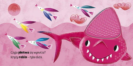 Książeczka sensoryczna, Dotykam, poznaję MORZE