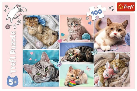 Puzzle 100 elementów W kocim świecie
