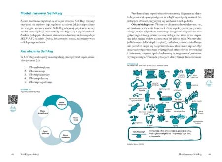 SELF-REG w edukacji. Przewodnik dla nauczycieli i psychologów