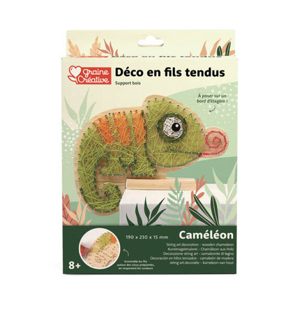 Obrazek z gwoździków i muliny Kameleon