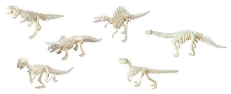 Bones&More, Duży szkielet dinozaura - wykopalisko odcisk łapy