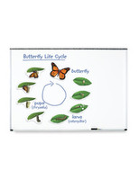 Learning Resources | Cykl życia motyla - magnetyczny LERLER6043