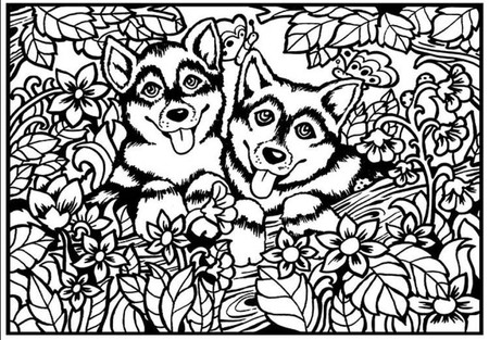 Kolorowanka Welwetowa 29,7x21 Pieski